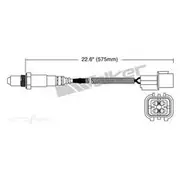 PAT Oxygen/Lambda Sensor Post Catalytic Converter - EGO-673