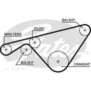 Gates Timing Belt - T293
