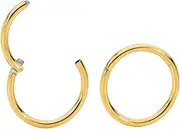 365 SLEEPERS 2PCS 20G Surgcial Steel 6mm - 10mm Steel Hinged Hoop Segment Septum Cartilage Helix Tragus Nose Ring Unisex Sleeper Earrings