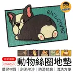 動物絲圈地墊 絲圈地墊 60X40CM 刮泥地墊 絲圈腳踏墊 門口地墊 寵物地墊 門口腳踏墊 玄關地墊 腳踏墊 地墊