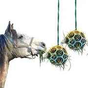 2 Pack Horse Treat Ball Hay Feeder Toy, Goat Feeder Ball Hanging Feeding Toy for Horse Goat Sheep Relieve Stress