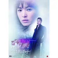 在飛比找蝦皮商城優惠-[韓劇]看見你的愛 6DVD 雙語版 ( 趙寅成/宋慧喬/金