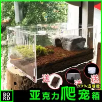 在飛比找樂天市場購物網優惠-爬蟲飼養盒寵物箱透明亞克力蜘蛛蜥蜴蝸牛螳螂蟋蟀烏龜爬寵造景箱