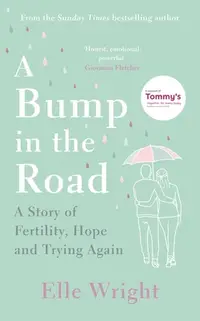 在飛比找誠品線上優惠-A Bump in the Road: A Story of