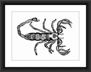 Scorpion, Scorpio Zodiac Sign, Pen & Ink Print 8"x10", Home Decor Art, Zentangle