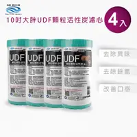 在飛比找PChome24h購物優惠-怡康 10吋大胖標準UDF椰殼活性碳濾心(4入)