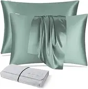 DISANGNI 100% Natural Mulberry Silk Pillow case for Hair and Skin with Hidden Zipper 22 Momme Both Sides Real Silk Pillow Case (2pc Standard Size 20" x26" Light Green)
