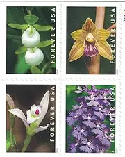 Wild Orchids Book of 20 First Class Postage Stamps Scott 5444