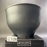 Denshi Ceramic Plant Pot Agave Pachypodium Caudex Succulent Handmade Japan