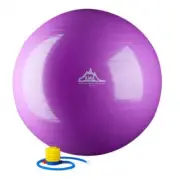 Black Mountain Products 65cm Purple Gym Ball 65 cm. Static Strength Exercise ...