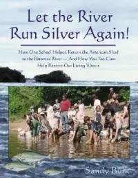 在飛比找博客來優惠-Let the River Run Silver Again