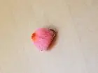 Pink Egg Fish Fly # 14, I Dozen