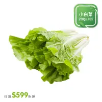 在飛比找momo購物網優惠-【菜霸子】任選-滿599元出貨(國產小白菜250g / 入廠