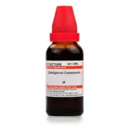 Willmar Schwabe Homeopathy Juniperus Communis Mother Tincture Q (30 ML)