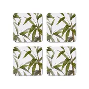 Bamboo Grove Square Coaster - Set of 4
