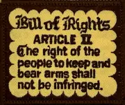 BILL OF RIGHTS ARTICLE II.... EMBLEM MILITARY IRON ON PATCH EE-265