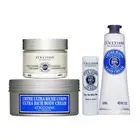 L'Occitane Shea Butter Ultra Rich Body Cream Hand Cream Lip Balm Stick