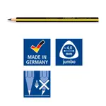 現貨【德國STAEDTLER】施德樓 119 JUMBO(粗)大三角原木鉛筆 學齡兒童練字寫字筆 HB/2B 單隻