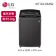 【LG 樂金】13公斤◆Smart Inverter 智慧變頻洗衣機（WT-ID130MSG）_廠商直送
