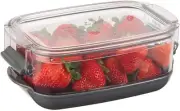 Progressive Prepworks Berry ProKeeper, 1.2-Quart for Strawberries, Blueberries