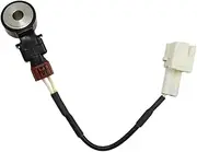 Car Knock Sensor 22060-AA070