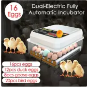 Farm Poultry Fully Automatic Turning Egg Incubator Dual-Electric Mini Household