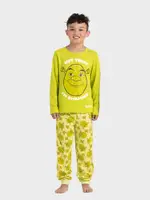 Shrek Clothes & Merchandise Boys 8-16 Shrek Long Pyjama Set, Green, Size 14