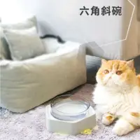 在飛比找momo購物網優惠-【AIWO 艾窩】貓狗飲水飼料盆-單碗(飼料碗 喝水盆 寵物