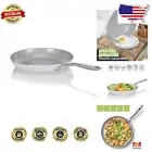 Elegant Nonstick Frying Pan with Induction Compatibility - 10-in Dishwasher Safe