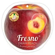 Buy Dwarf Peach Fresno Fruit Trees (Prunus persica)