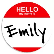 Hello My Name Is Emily - 10 Pack Circle Stickers 3 Inch - Custom Nametag