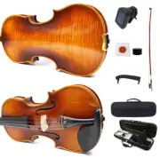 Advance Violin 4/4 Full Size Hand made Flame Maple Violins Carrying Case Bow