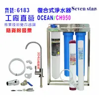 在飛比找蝦皮商城優惠-CH950多效能304白鐵鵝頸龍頭淨水器 製冰機過濾器 咖啡