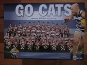 GO CATS GEELONG FOOTBALL CLUB 2008 TEAM POSTER HERALD SUN