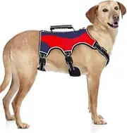 Escape Proof Dog Harness Adjustable No Pull Dog Harness with Lift Handle Leash Clip,Reflective Breathable Padded Dog Vest for Large Medium Dogs Training Walking (Red, XL)