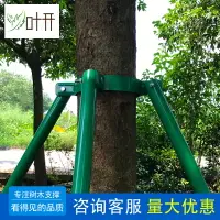 在飛比找樂天市場購物網優惠-鍍鋅鋼管樹木支撐架園林綠化樹支撐固定器苗木樹木防風防倒支撐桿