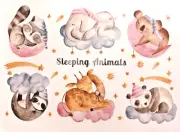 Sleeping animals wall decals for baby's room. Sloth elephant girafe panda bear +