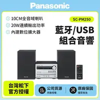 在飛比找樂天市場購物網優惠-【Panasonic】國際牌藍牙/USB組合音響SC-PM2
