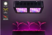 Certa 600W LED Grow Light