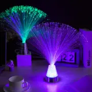 Crystal Light Up Mood Lamp Sensory Colour Changing Fibre Optic Lamp