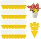 60 PCS Dual Sided Sticky Fruit Fly Traps Indoor Outdoor Gnat Mosquito Bug Catche