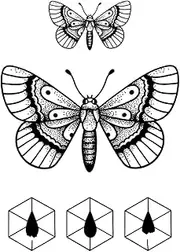 Semi-Permanent Tattoo,Moth DC-SHY-BB027,Moth Tattoos,Lasts 1-2 Weeks,Real Tattoo Look,Resilience,Water-Resistant,18 x 11 cm