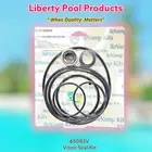 PHPF & PHPM BY POOLTEK USA REPLACEMENT 65083V - FITS JANDY® GO-KIT83V
