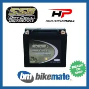 Battery AGM Heavy Duty for HARLEY FLSTF 1584 Fat Boy 96 2011