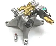 Homelite/Ryobi 308653035 Pressure Washer Water Pump 3100 PSI DS With 678169004 Thermal Release Valve