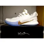 NIKE KOBE MAMBA FOCUS EP 白色 籃球 曼巴 AO4434-004 白金冠軍 慢跑鞋