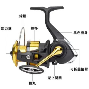 【RONIN 獵漁人】DAIWA RS 國民紡車捲線器(新手入門首選 實惠價格 路亞 溪流 磯釣 岸拋 沉底)