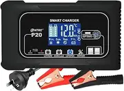 20-Amp Car Battery Charger, 12V/24V Smart Fully Automatic Lithium Battery Charger for Car, Motorcycle, Truck