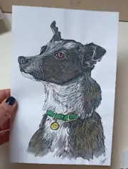 Australian Cattle Dog Original Watercolor Portrait 8x5.5'' Painting Stylized art