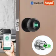 With Tuya Biometric Fingerprint Smart Door Lock Electronic Lock Keyless Security